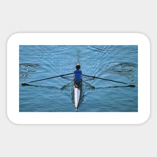 Sculling Sticker